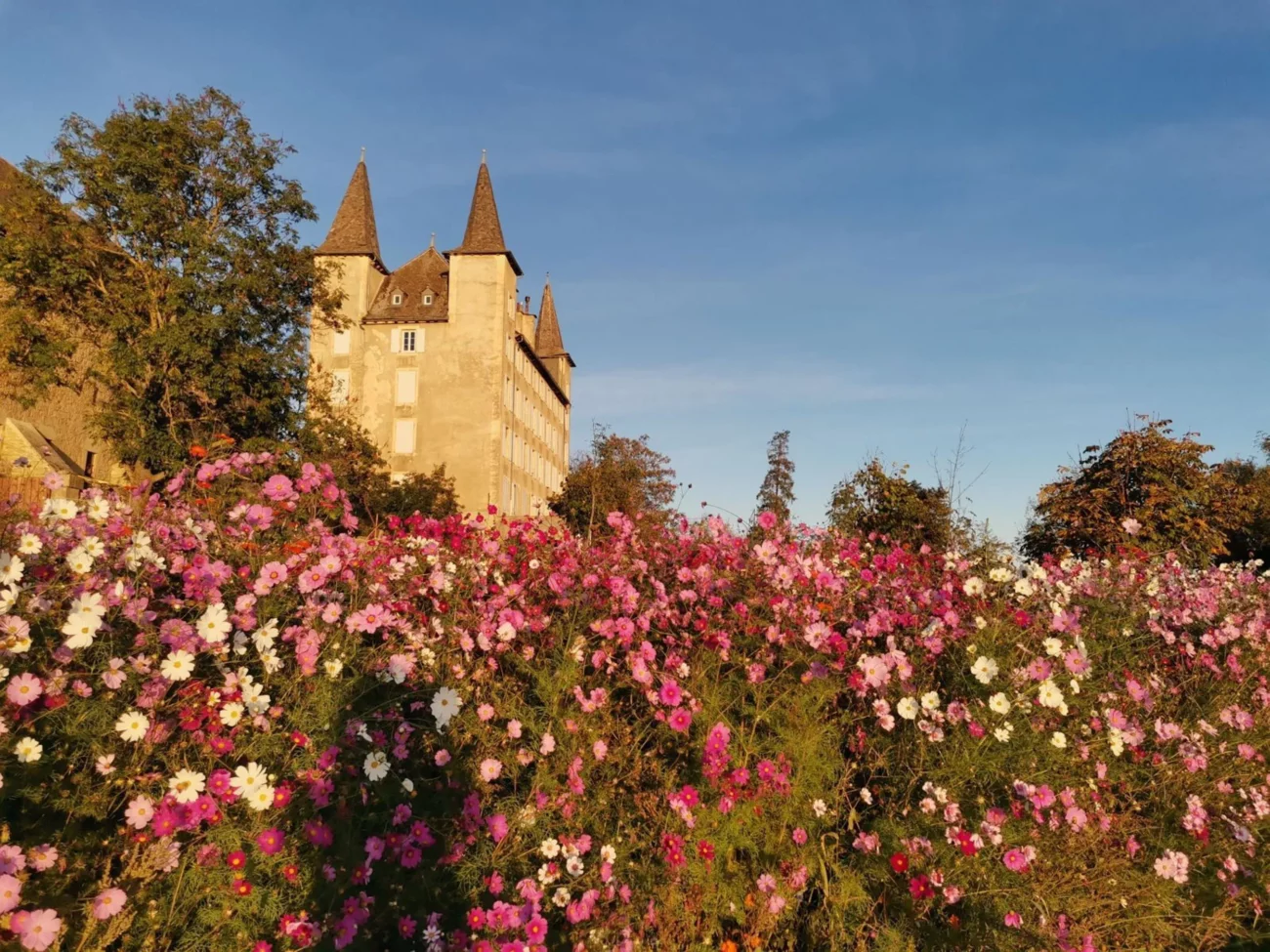 Château adossé au gite